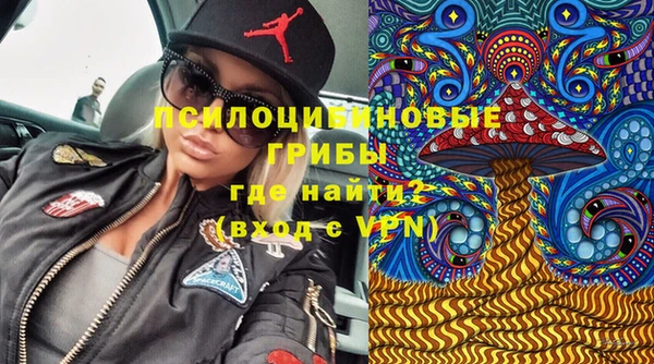 Альфа ПВП Елизово