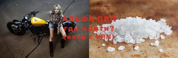 соль ск Ельня