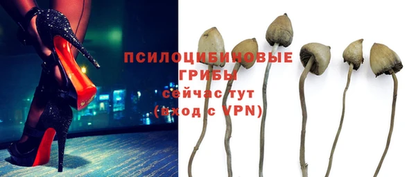 Альфа ПВП Елизово