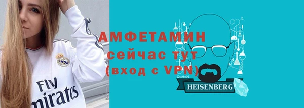 соль ск Ельня