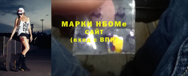 соль ск Ельня