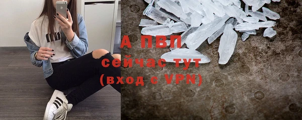 Альфа ПВП Елизово