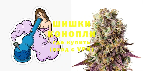 соль ск Ельня