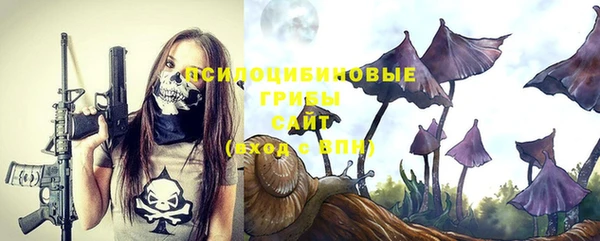 соль ск Ельня