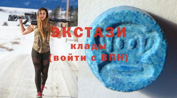 соль ск Ельня