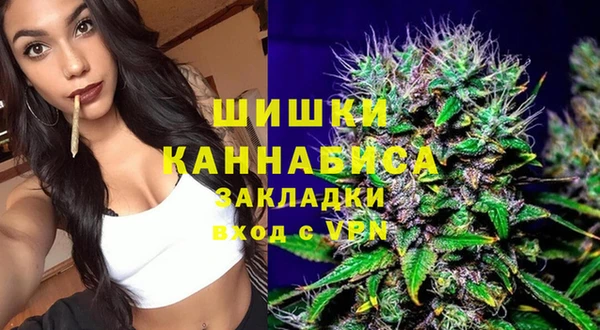 соль ск Ельня
