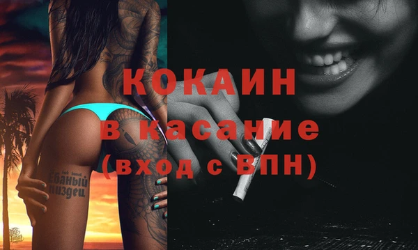 соль ск Ельня