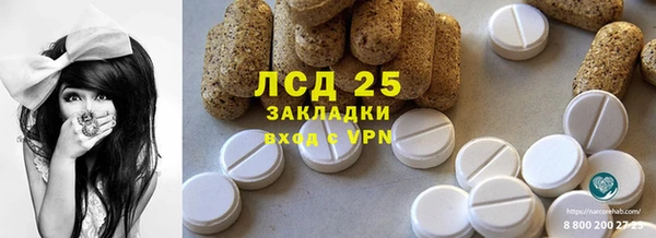 соль ск Ельня
