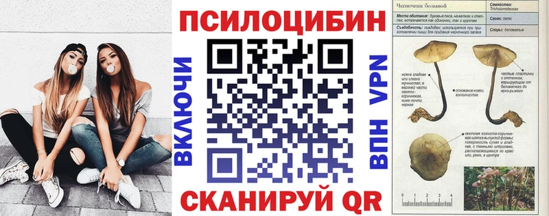 Псилоцибиновые грибы GOLDEN TEACHER  Купить где  Дорогобуж 
